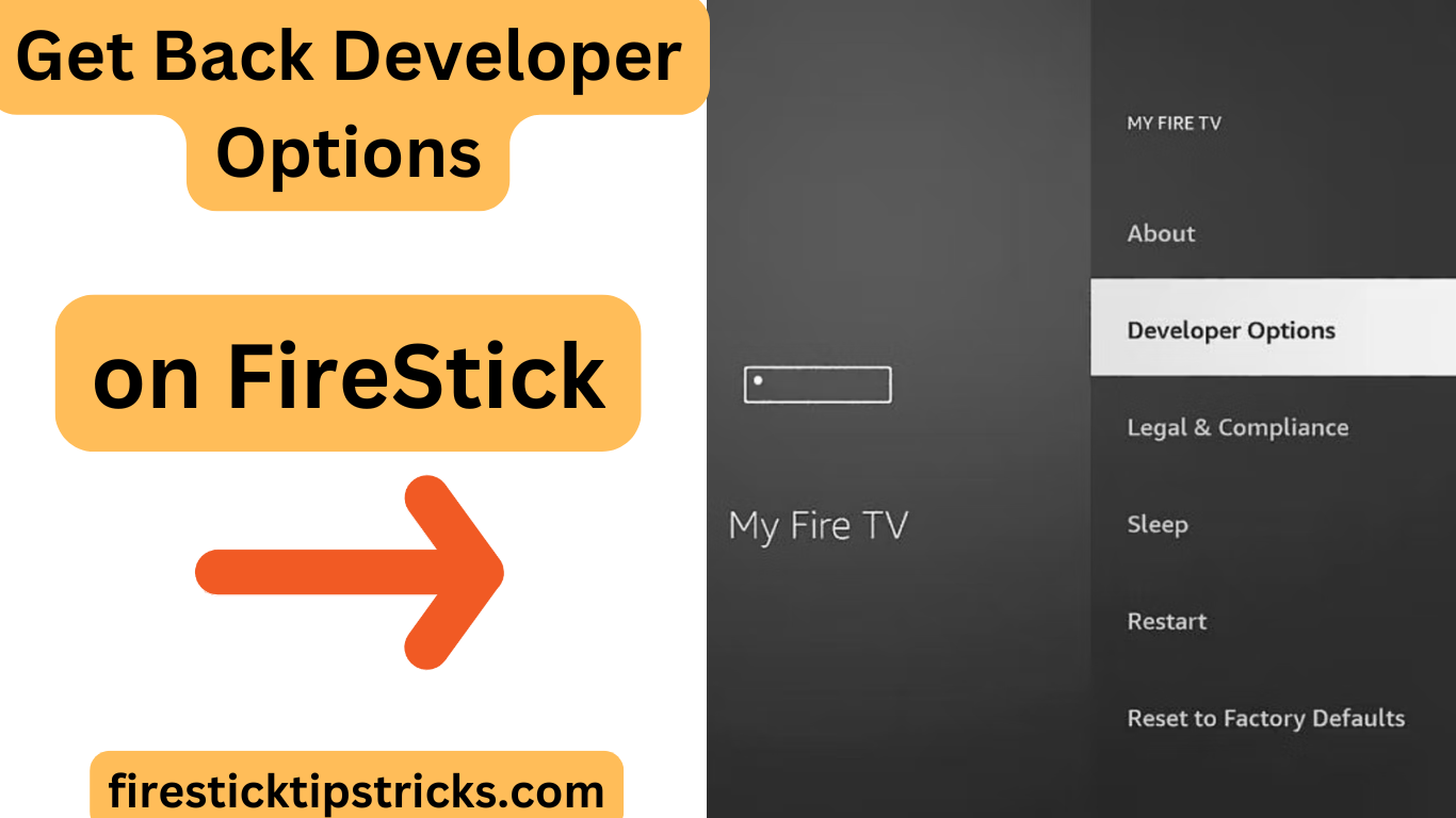 Get Back Developer Options on FireStick 2024: Simple Steps